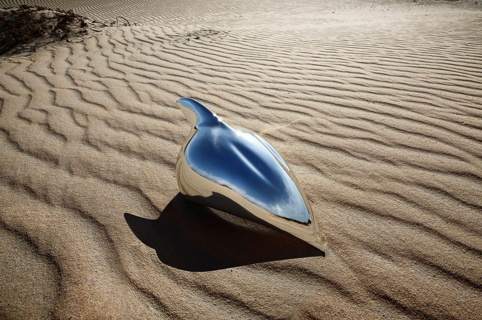 S.O.S Terra (3).jpeg