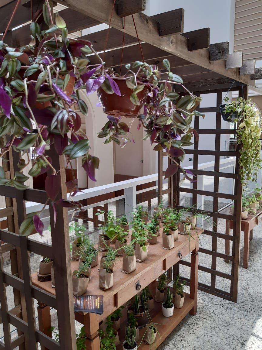 WhatsApp Image 2020-11-23 at 12.49.22 (1).jpeg