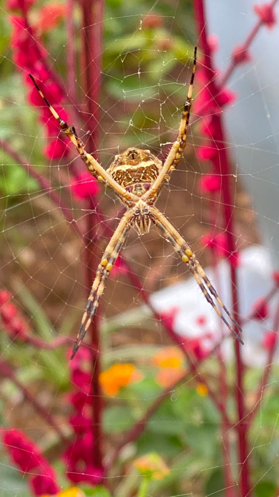 WhatsApp Image 2024-06-30 at 16.15.32.jpeg