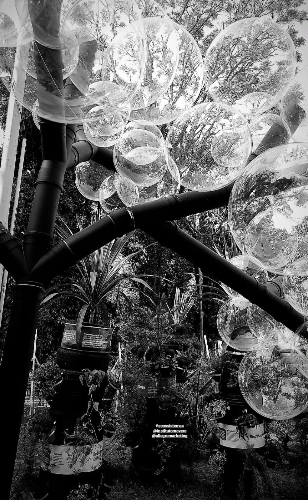 floresta interrompida 2.jpg